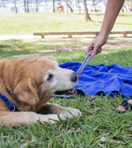 Brinquedo De Corda Para Cães Fun Pet
